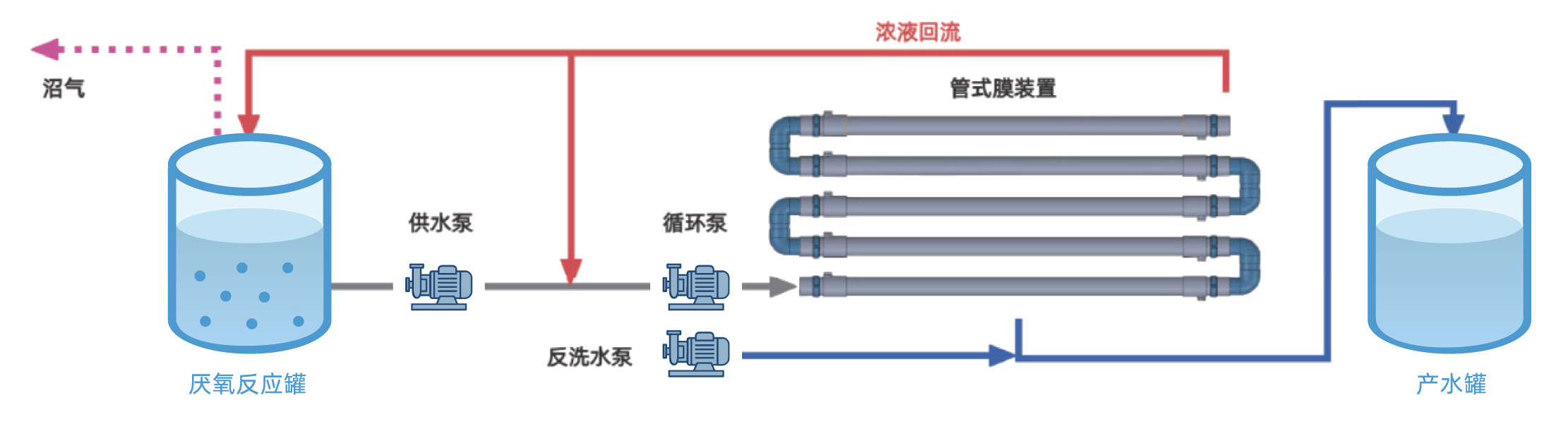 AnMBR schematic showing anaerobic reactor, external tubular membrane circulation, membrane permeate, concentrated-sludge return, and biogas recovery